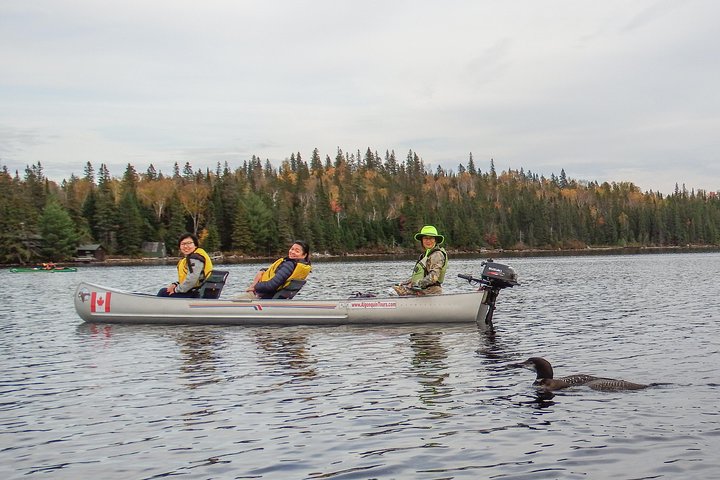 3 Hour VIP Electric Canoe Photography Tour (private, price is for 2 people)