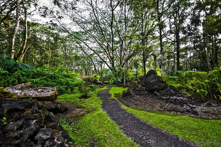 Hilo Shore Excursion: Volcano Safari Lava Caves & Black Sand