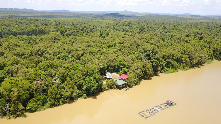 Borneo Wildlife Tour 3 Days 2 Nights At Tanjung Bulat Jungle Camp Kinabatangan