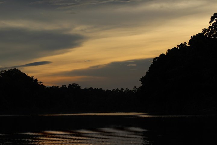 Borneo Wildlife Tour 3 Days 2 Nights At Tanjung Bulat Jungle Camp Kinabatangan