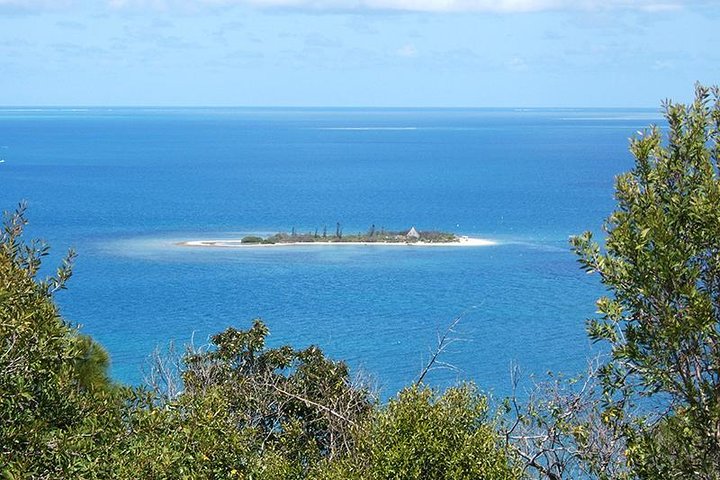 FAMOUS Local Green Train Noumea (01h30) with LYVAI