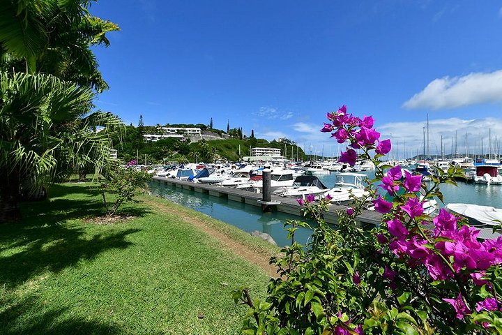 FAMOUS Local Green Train Noumea (01h30) with LYVAI