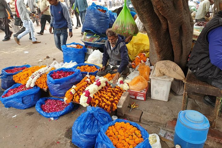 Old & New Delhi Private Tour - Half or Full Day (Rated Excellent)