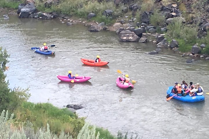 Racecourse half day class 3 most popular in New Mexico