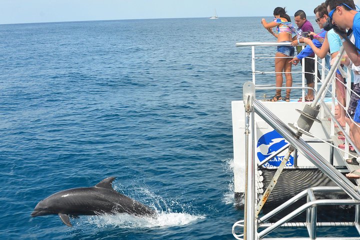 All Inclusive Catamaran Eco Adventure from Manuel Antonio