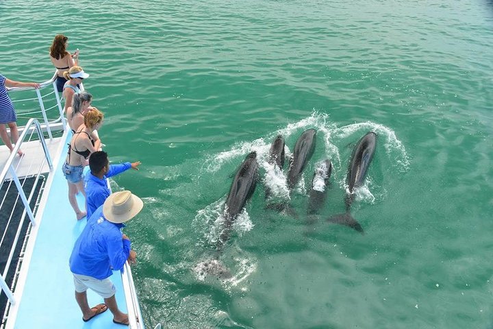 All Inclusive Catamaran Eco Adventure from Manuel Antonio