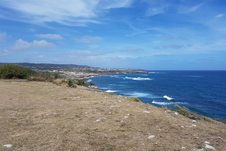 Barbados Full-day Private Tour