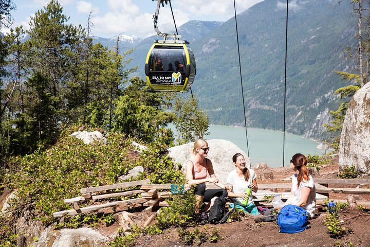 Whistler, Sea to Sky Gondola, & Shannon Falls Tour from Vancouver