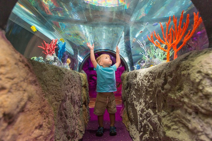 SEA LIFE Kansas City Aquarium Admission Ticket