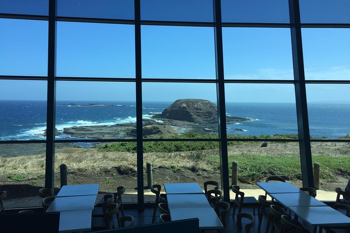 Phillip Island Penguin and Koala Highlights Day-Trip from Melbourne