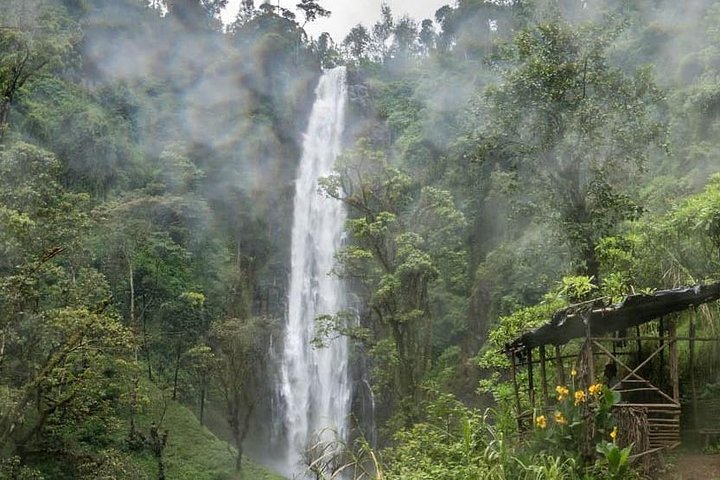 Materuni Waterfalls, coffee tour & Kikuletwa Hot Springs