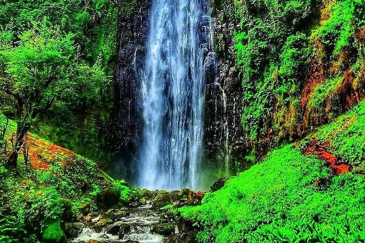 Materuni Waterfalls, coffee tour & Kikuletwa Hot Springs