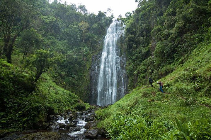 Materuni Waterfalls, coffee tour & Kikuletwa Hot Springs