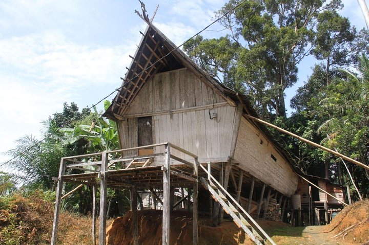 Dayak Lamandau & Orangutan Tanjung Puting Park Tour 6 Days