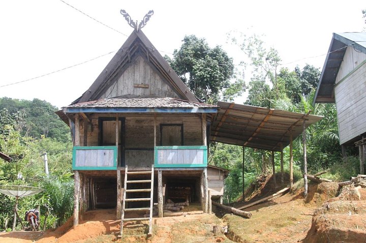 Dayak Lamandau & Orangutan Tanjung Puting Park Tour 6 Days