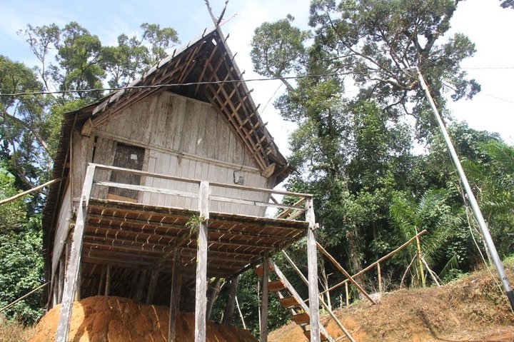 Dayak Lamandau & Orangutan Tanjung Puting Park Tour 6 Days