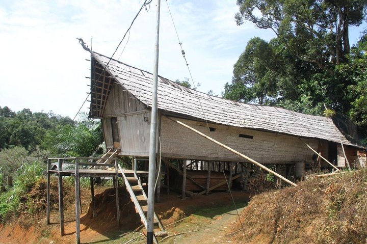 Dayak Lamandau & Orangutan Tanjung Puting Park Tour 6 Days