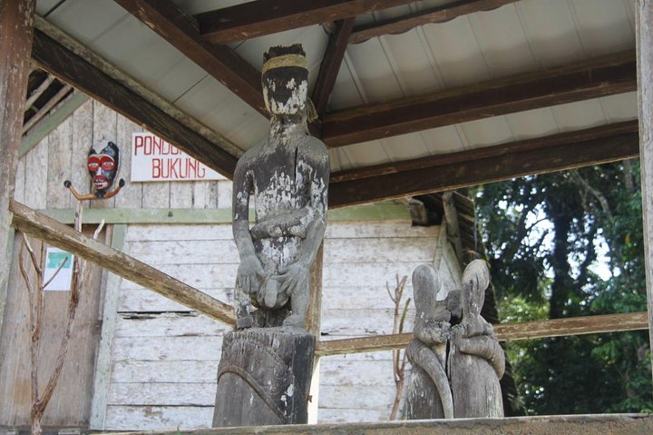 Dayak Lamandau & Orangutan Tanjung Puting Park Tour 6 Days