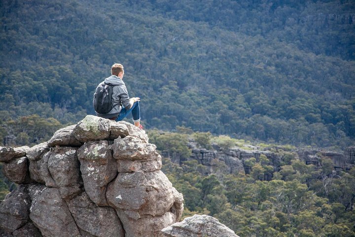 Small-Group Grampians Great Wildlife Escape Day Trip with Hiking