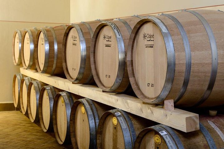 Montefalco: Winery and Oil Mill Tour in with Light Lunch