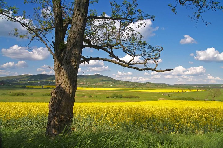Bratislava-Budapest One-Way Sightseeing Transfer