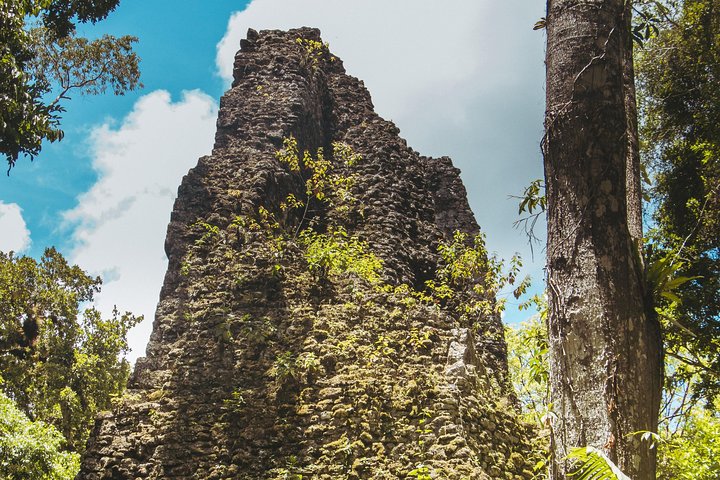 Tikal Small Group all Included From Flores