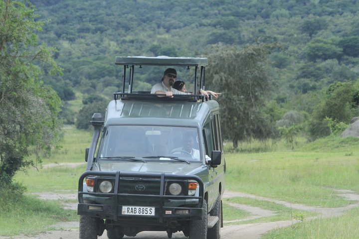 2 Days Akagera Wildlife Safari( pick up and drop off)