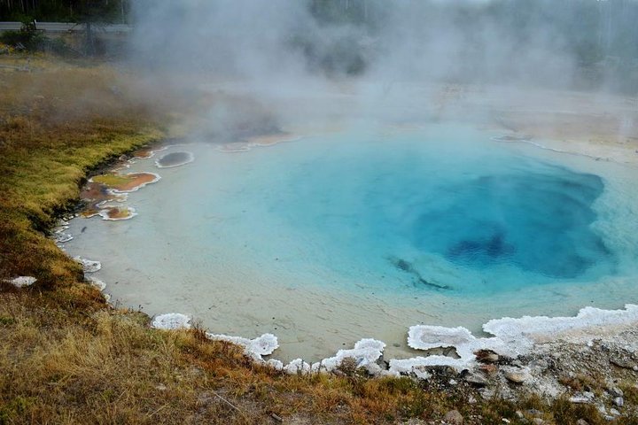 Private Yellowstone National Park Tour (Upper Loop)