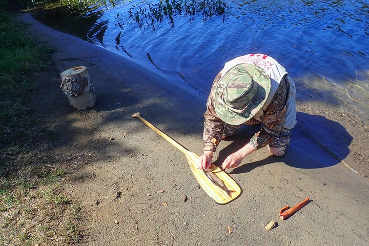 3 Hour Algonquin Park Bass & Trout Fishing (private- price is for 1 or 2 people)