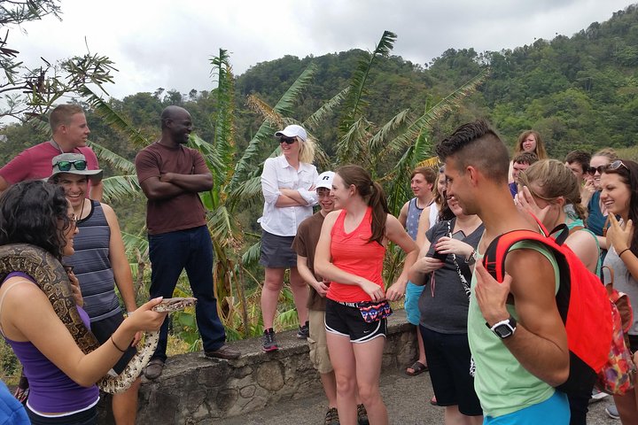 St Lucia Customize Private Island Tour