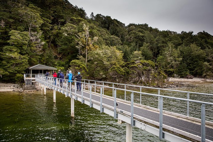 Te Anau Glow Worm Caves Tour