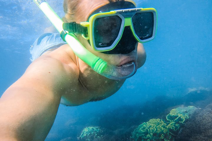Turtle Discovery & Great Sandy Marine Park Adventure