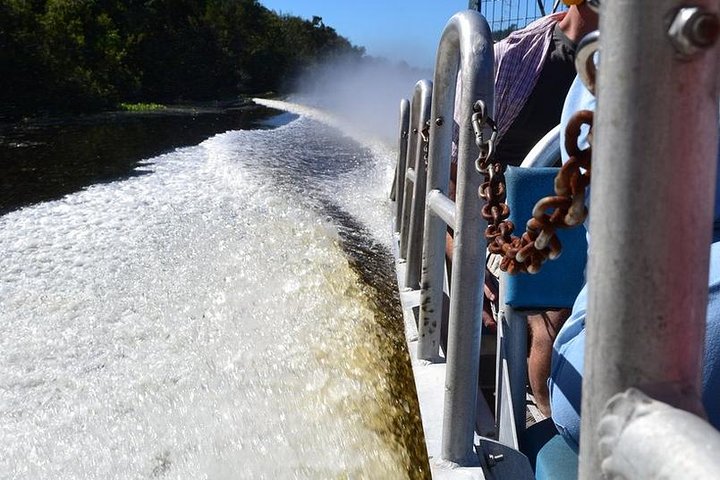 New Orleans Airboat Ride