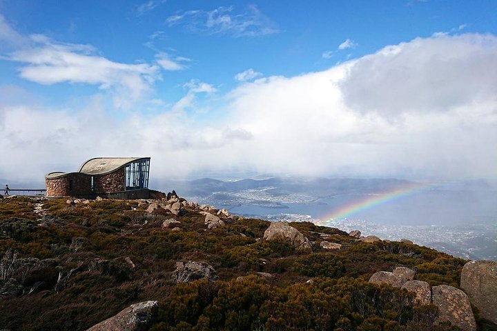 kunanyi/Mt Wellington Explorer Bus- Return Tour (2.5 hours)