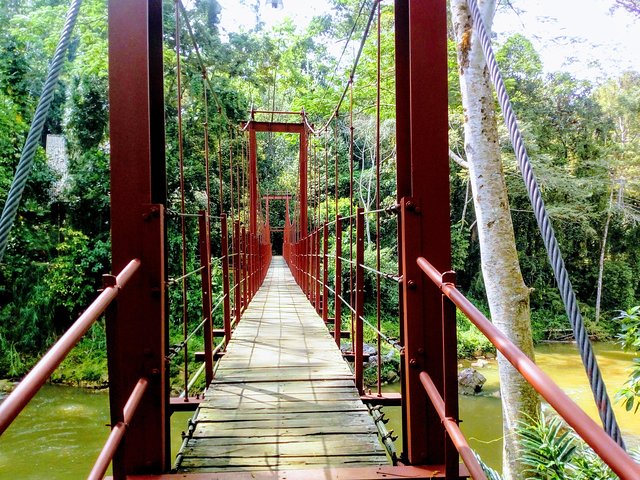 Sinharaja Rainforest Tour - Hotel Pick-up and Transfers Including