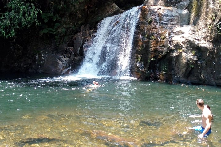 Sinharaja Rainforest Tour - Hotel Pick-up and Transfers Including