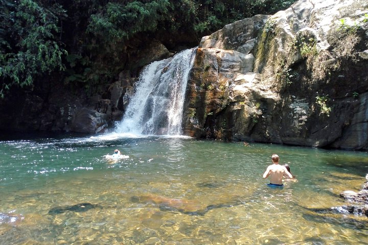 Sinharaja Rainforest Tour - Hotel Pick-up and Transfers Including