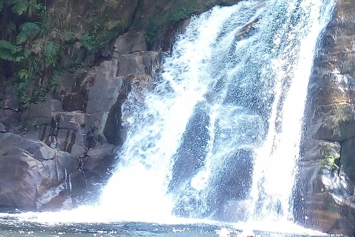 Sinharaja Rainforest Tour - Hotel Pick-up and Transfers Including