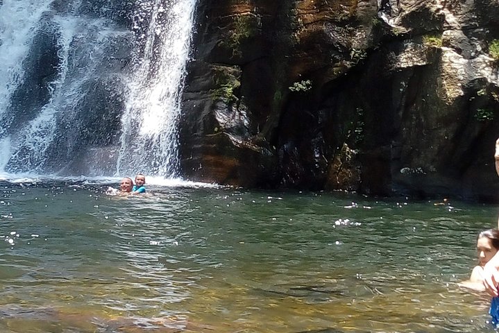 Sinharaja Rainforest Tour - Hotel Pick-up and Transfers Including