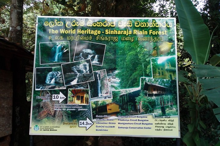 Sinharaja Rainforest Tour - Hotel Pick-up and Transfers Including