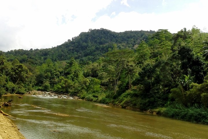 Sinharaja Rainforest Tour - Hotel Pick-up and Transfers Including