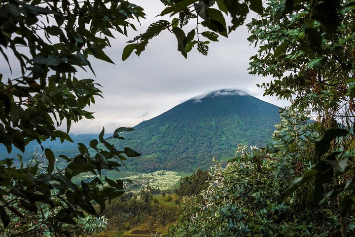 1 Day Dian Fossey Tomb Hike
