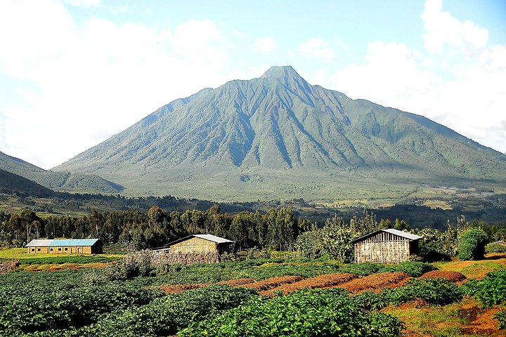 1 Day Dian Fossey Tomb Hike
