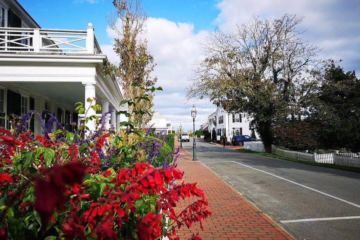 #1 Best 3hr Martha's Vineyard shared Island Tour from Oak Bluffs