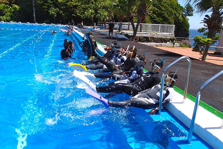 Half-day Snorkeling Course Relieved at the beginning Even in the sea of Izu, veteran instructors will teach kindly