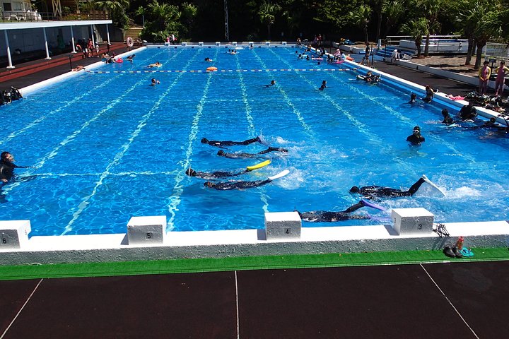 Half-day Snorkeling Course Relieved at the beginning Even in the sea of Izu, veteran instructors will teach kindly
