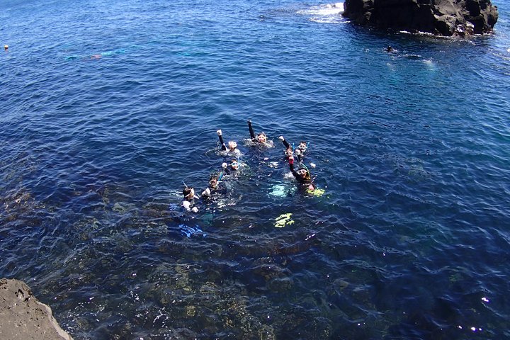 Half-day Snorkeling Course Relieved at the beginning Even in the sea of Izu, veteran instructors will teach kindly