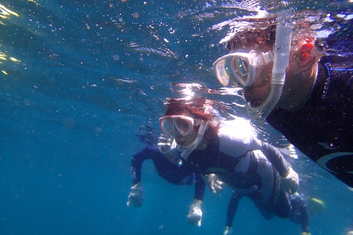 Half-day Snorkeling Course Relieved at the beginning Even in the sea of Izu, veteran instructors will teach kindly