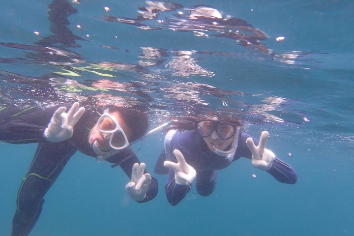 Half-day Snorkeling Course Relieved at the beginning Even in the sea of Izu, veteran instructors will teach kindly