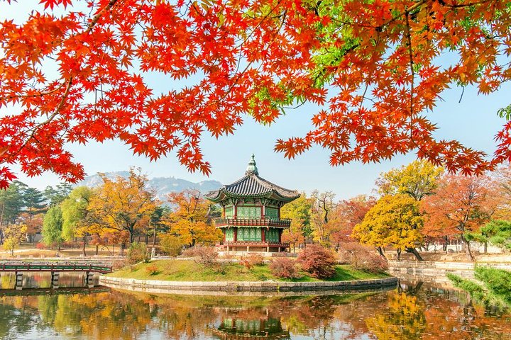 Full-day Customizable Private Seoul Highlight Tour